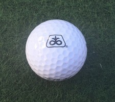 Pioneer Seeds Corporate Logo